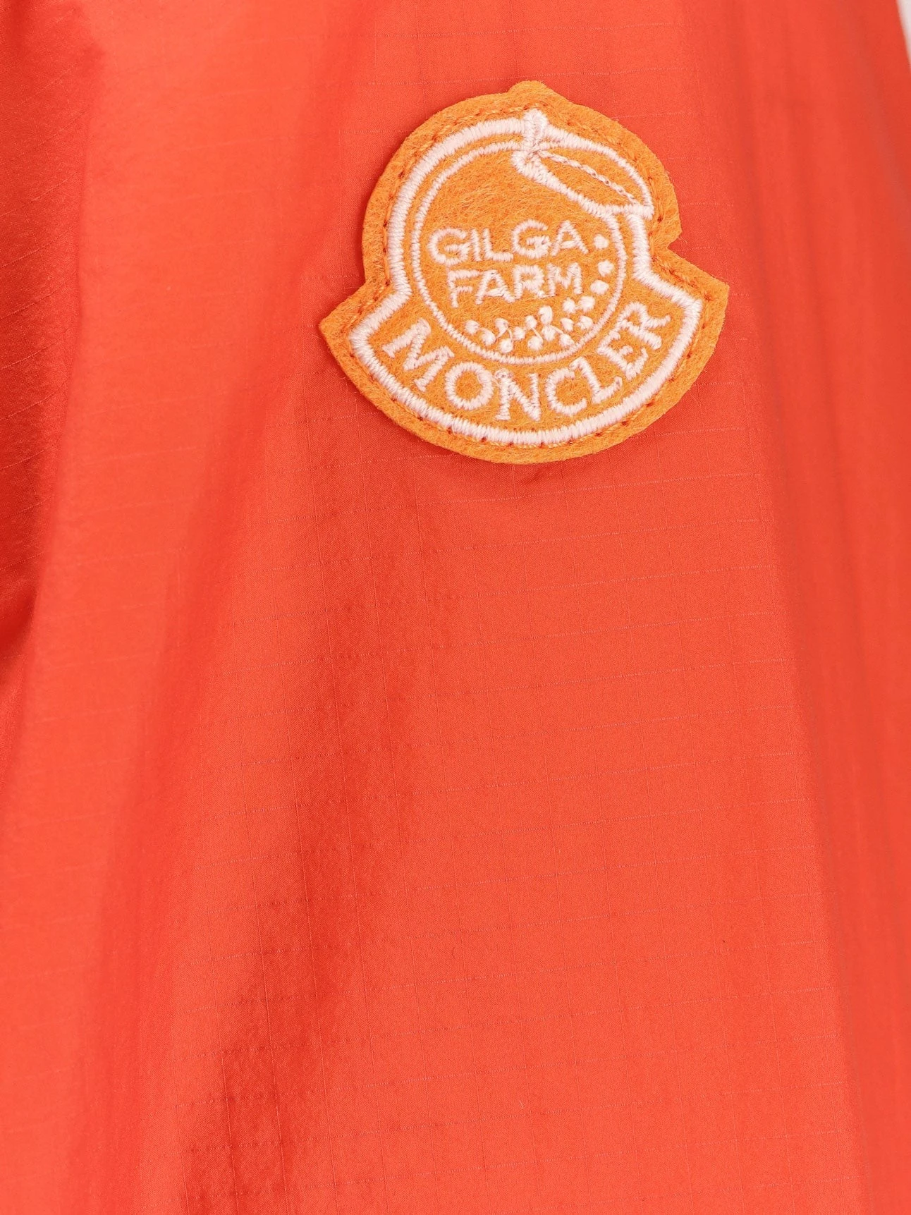 Hamlin Moncler x Gilga Farm designed by Donald Glover nylon jacket.webp