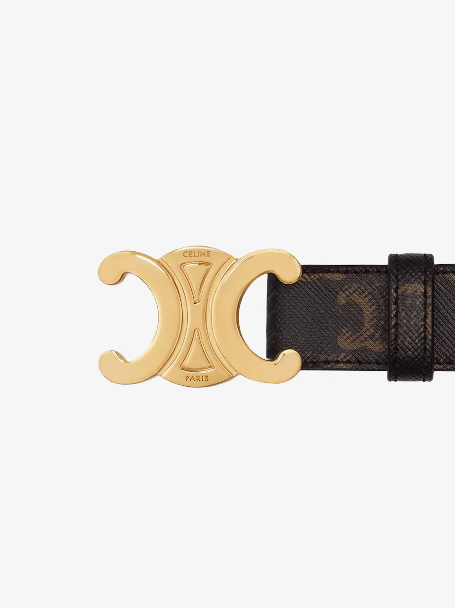 Triomphe coated canvas belt.webp