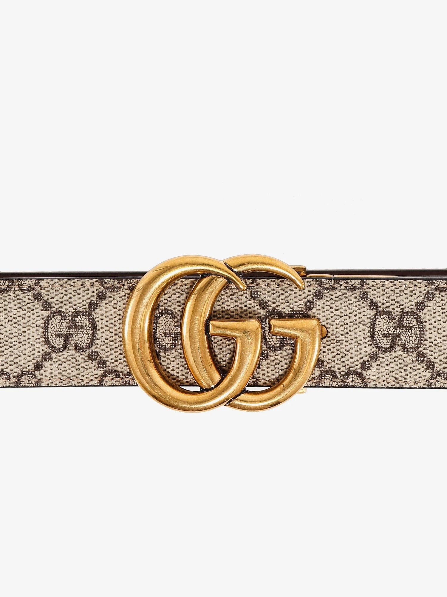 Leather and GG Supreme fabric GG belt.webp