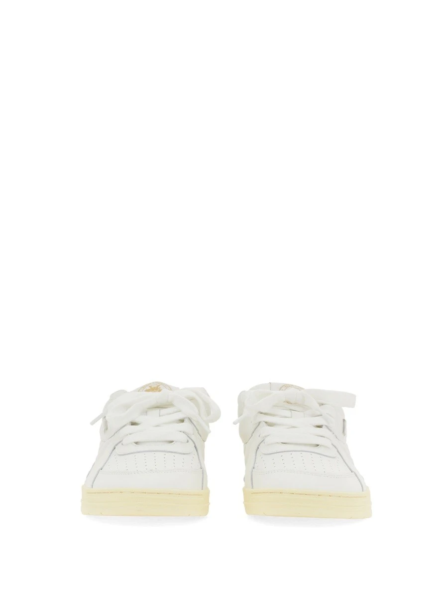 SNEAKER UNIVERSITY.webp