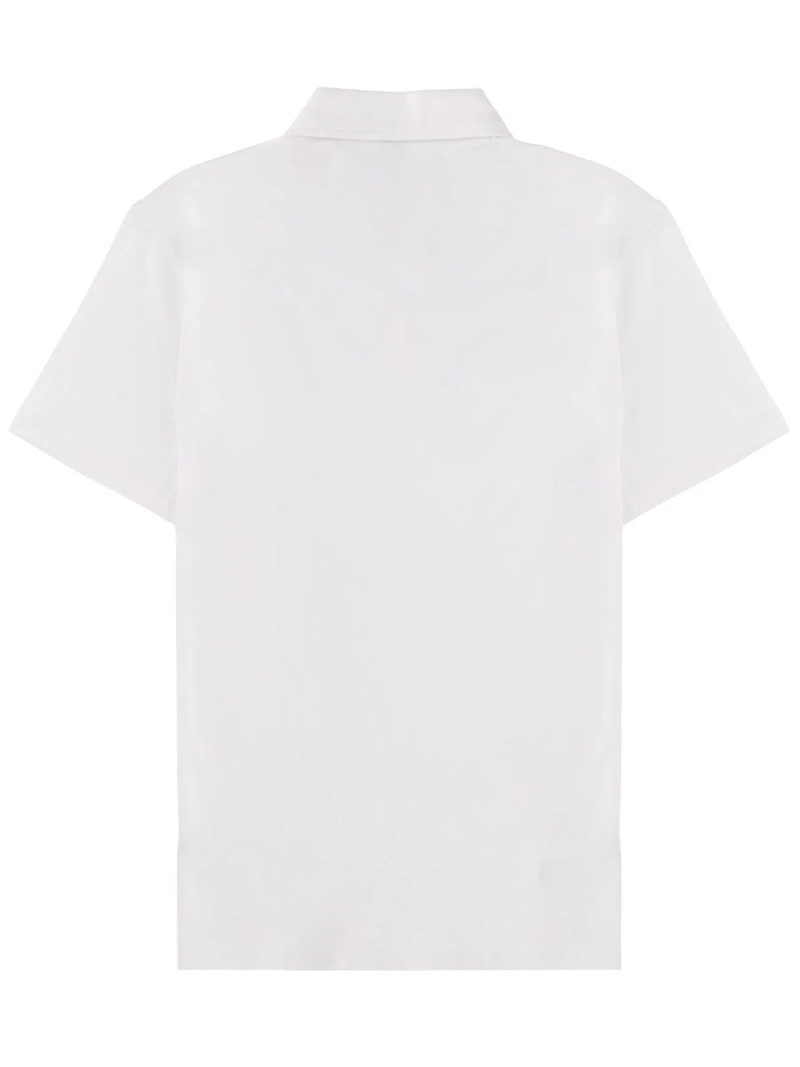 COTTON POLO.webp
