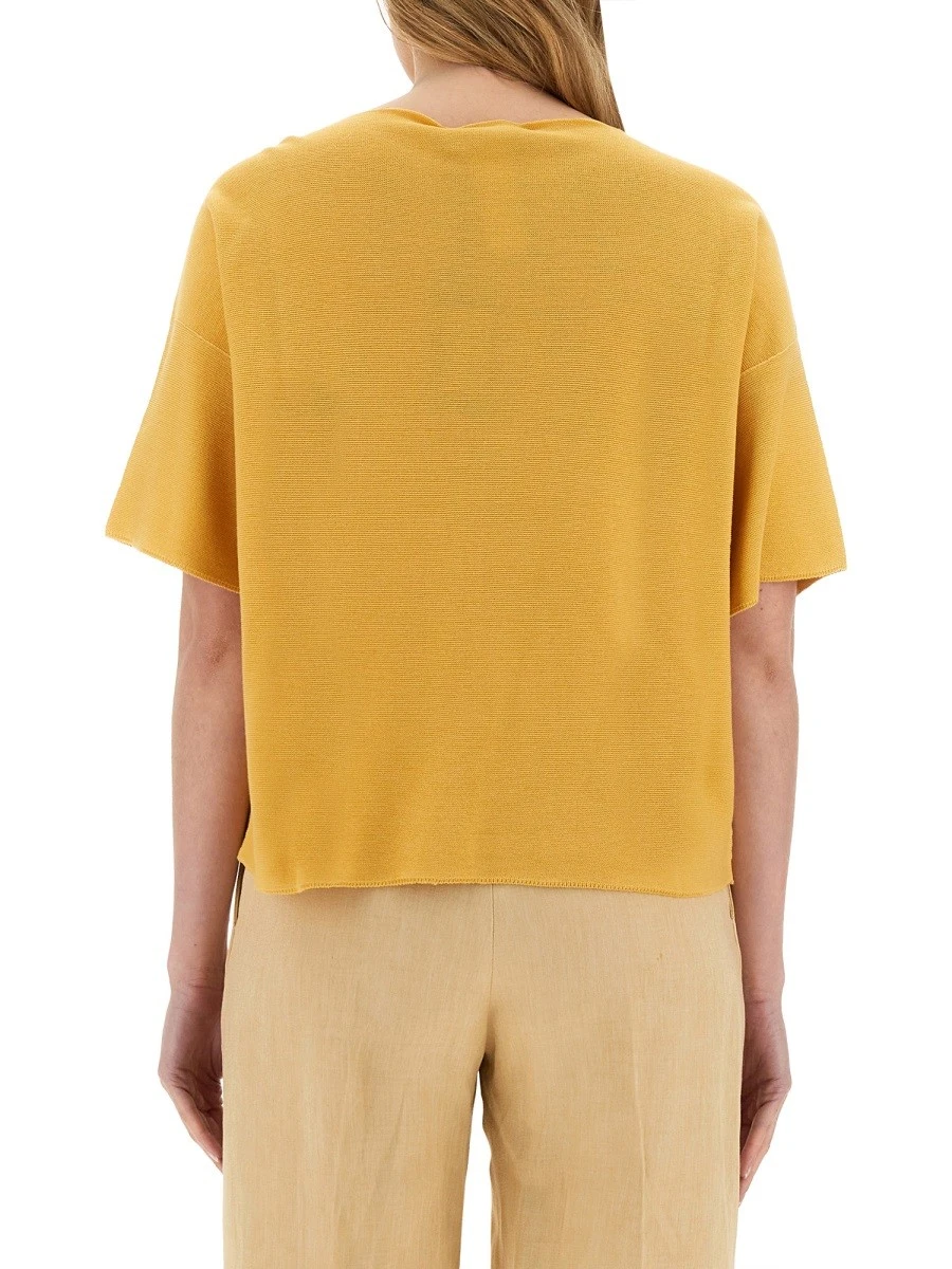 COTTON TOPS..webp