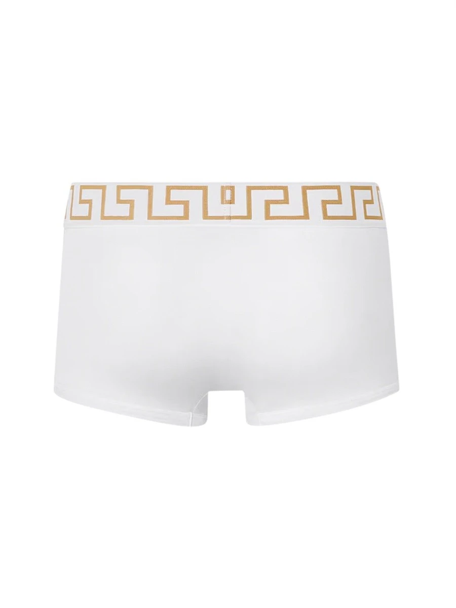 BOXER CON GRECA.webp