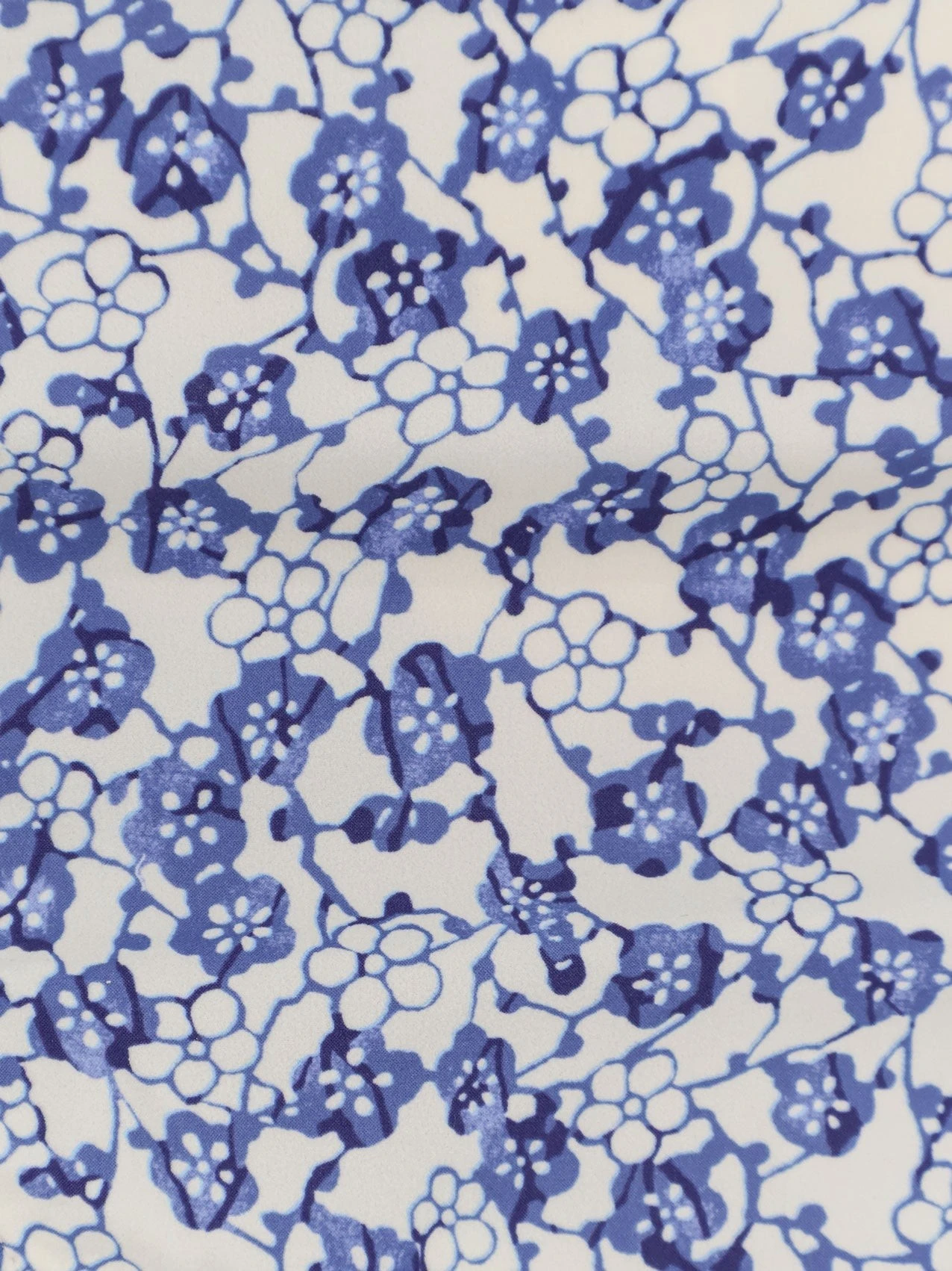 Prudi Bikini Slip.webp