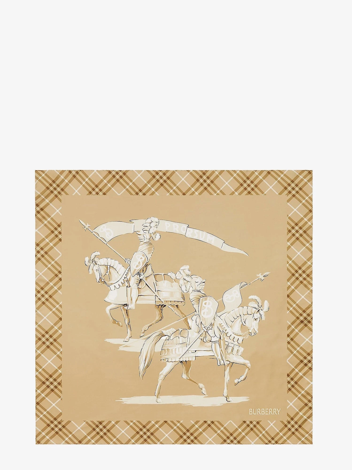 Foulard in seta.webp