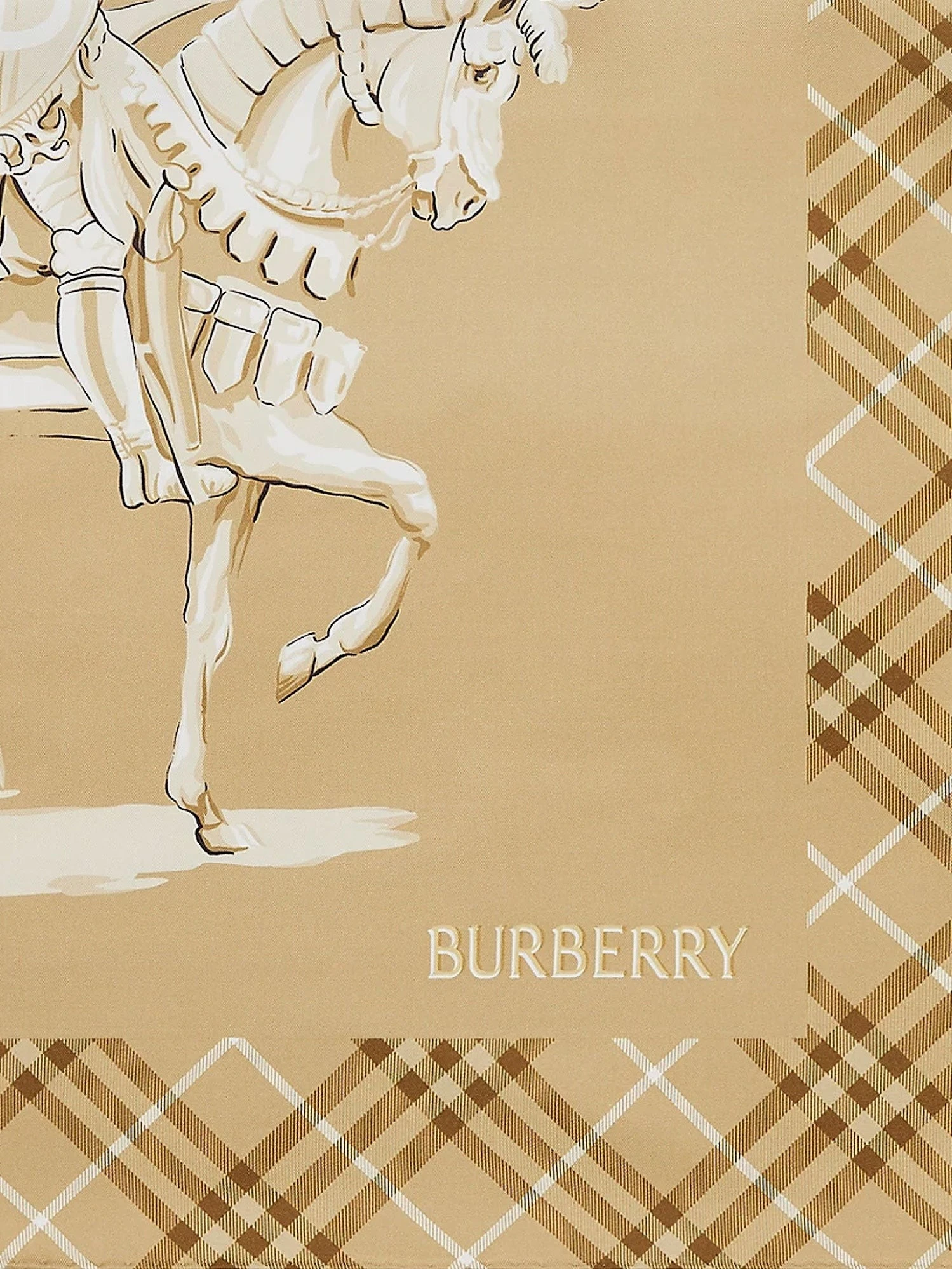 Foulard in seta.webp