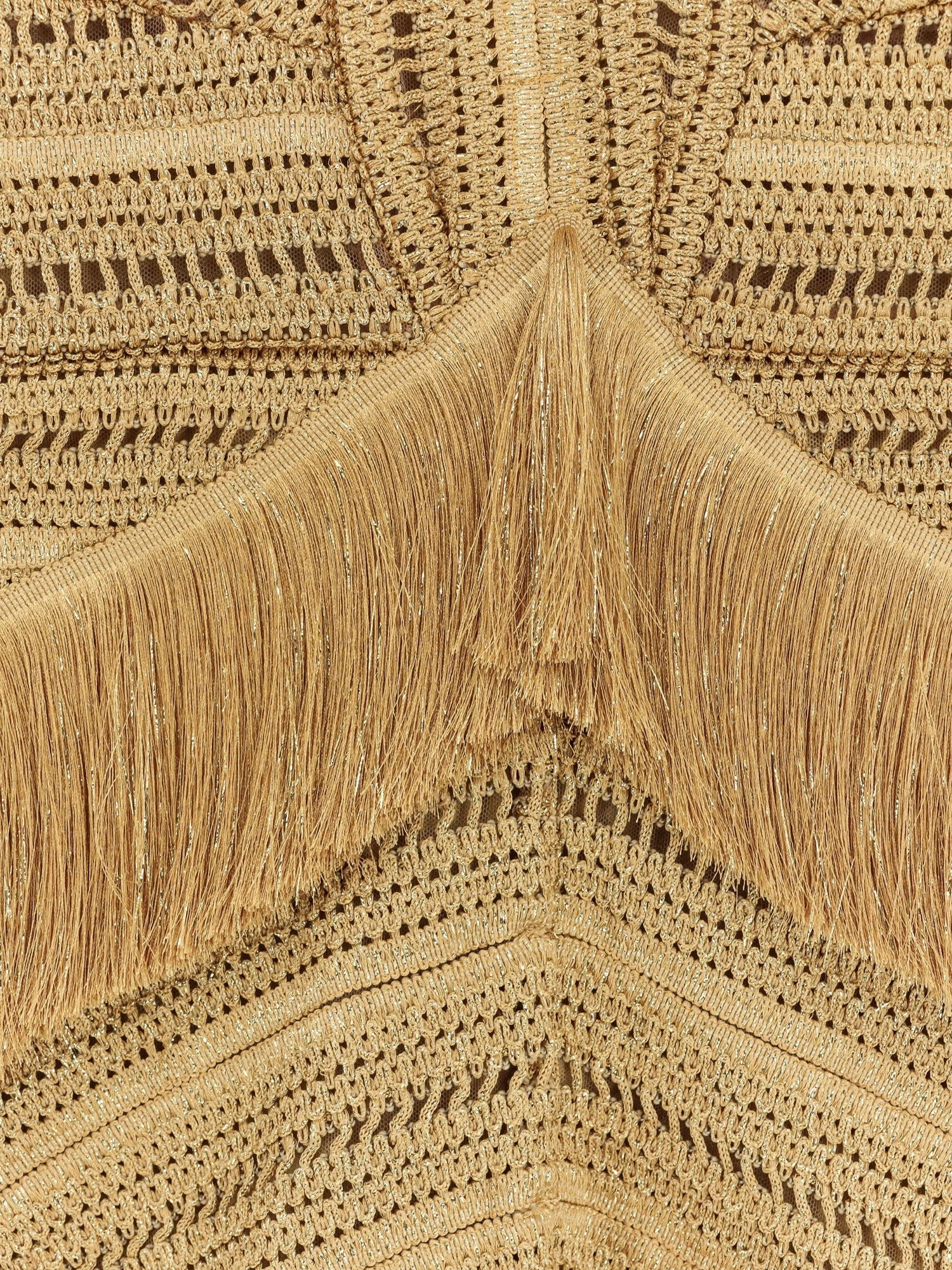 Pampas mini dress with embroidery and fringes.webp