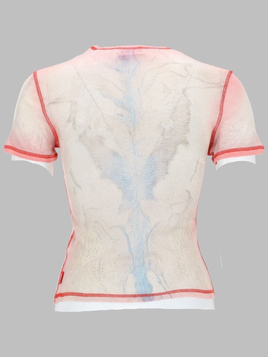 TOP "T-IANA".webp