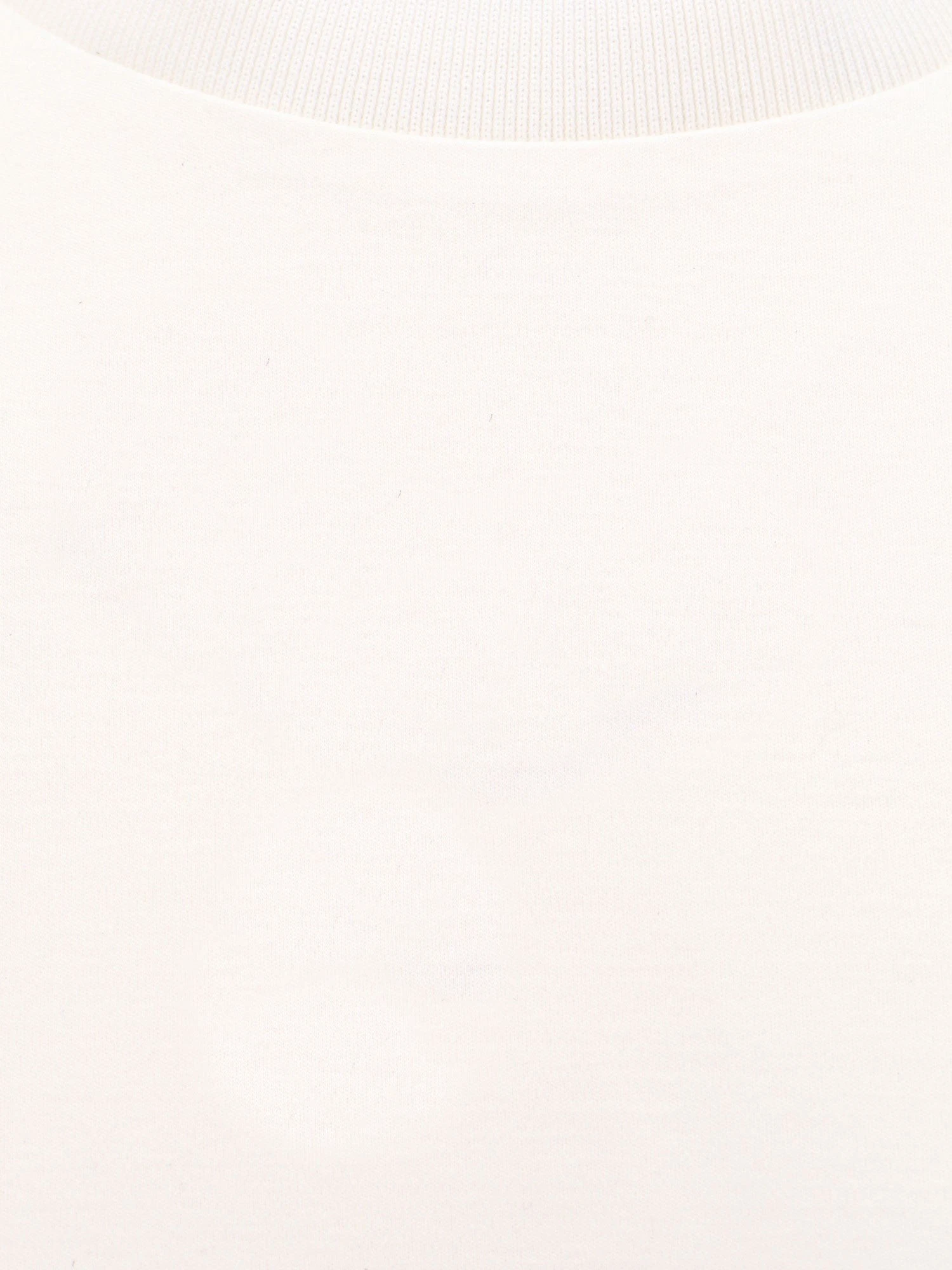 Cotton T-shirt.webp