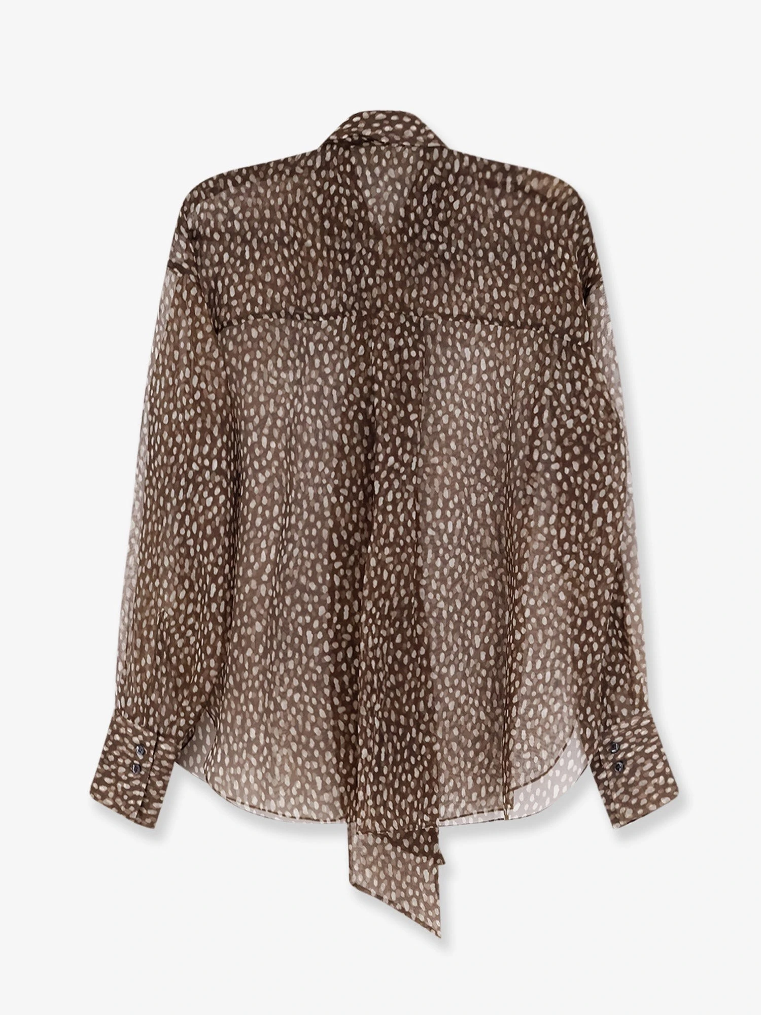 Sheer silk shirt.webp