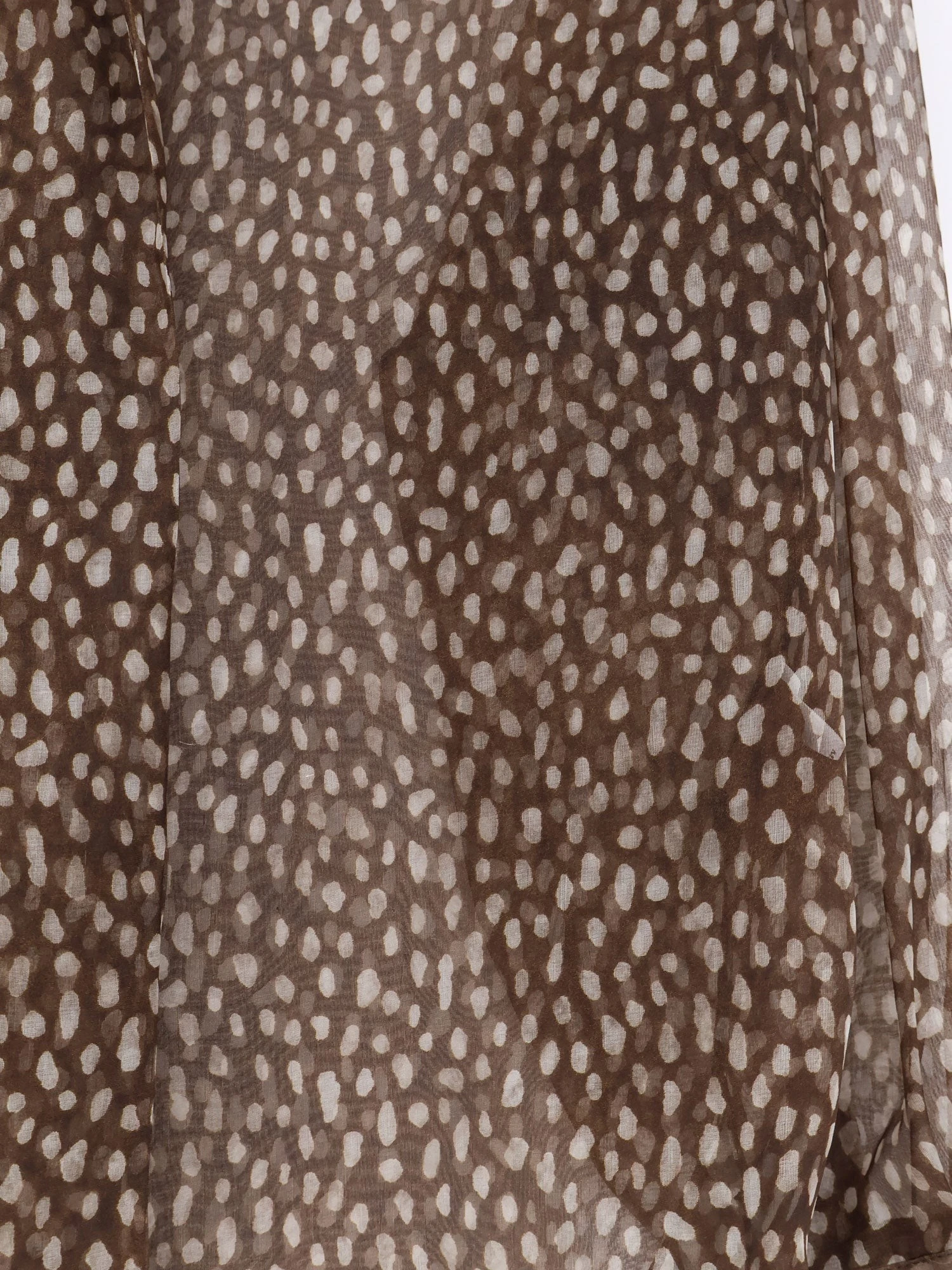 Sheer silk shirt.webp