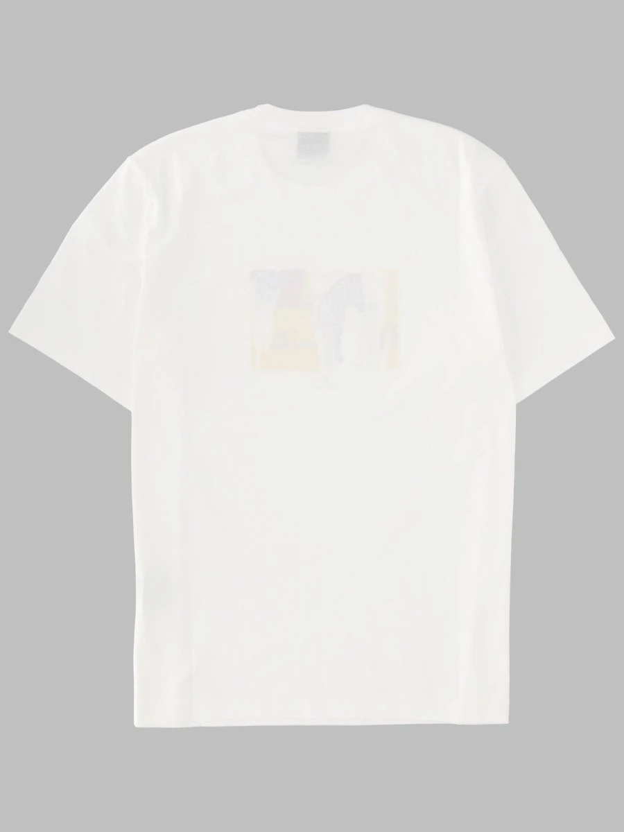 T-SHIRT "ZEBRA".webp