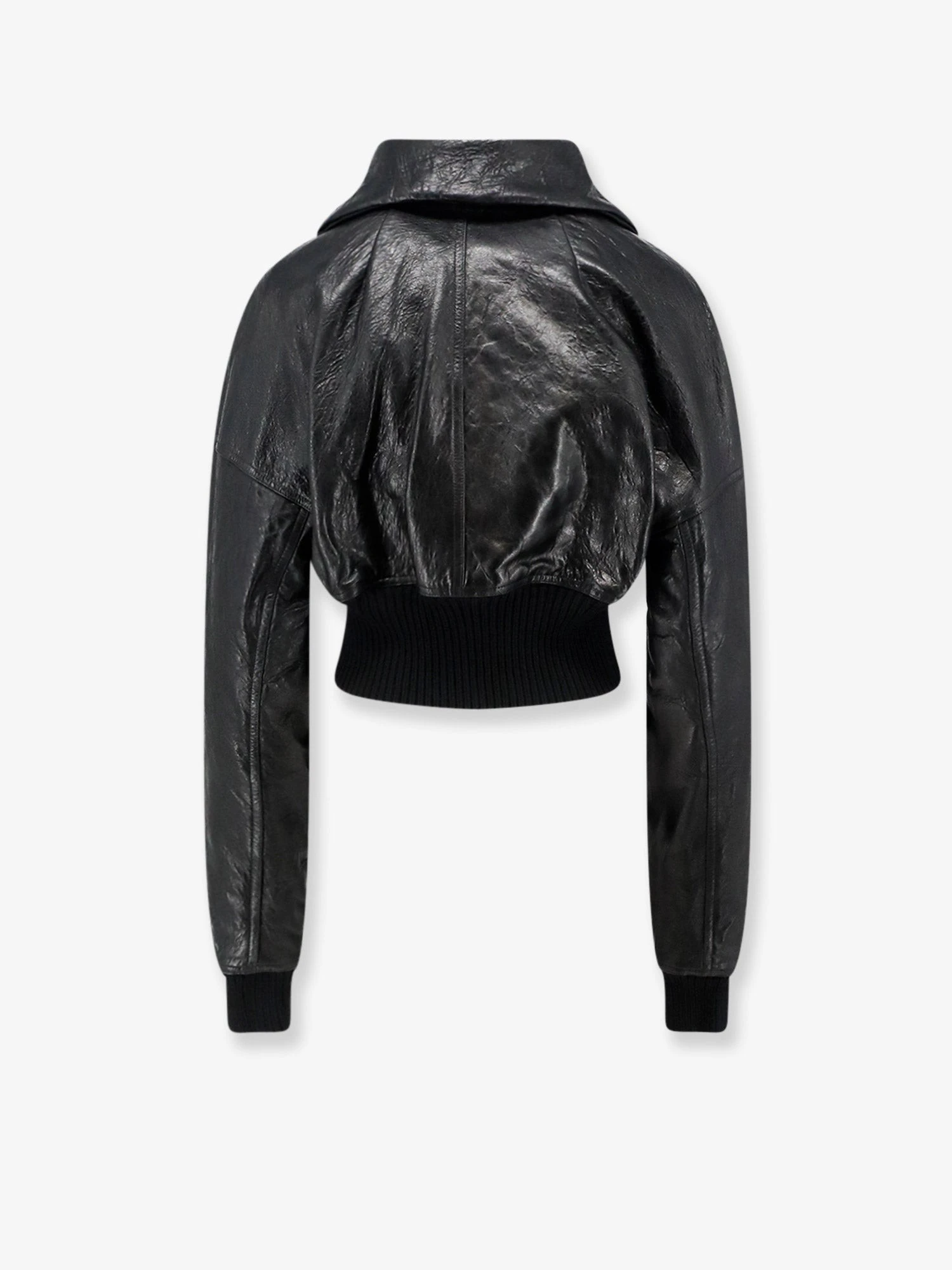 Dracuflight Cropped Leather Jacket.webp