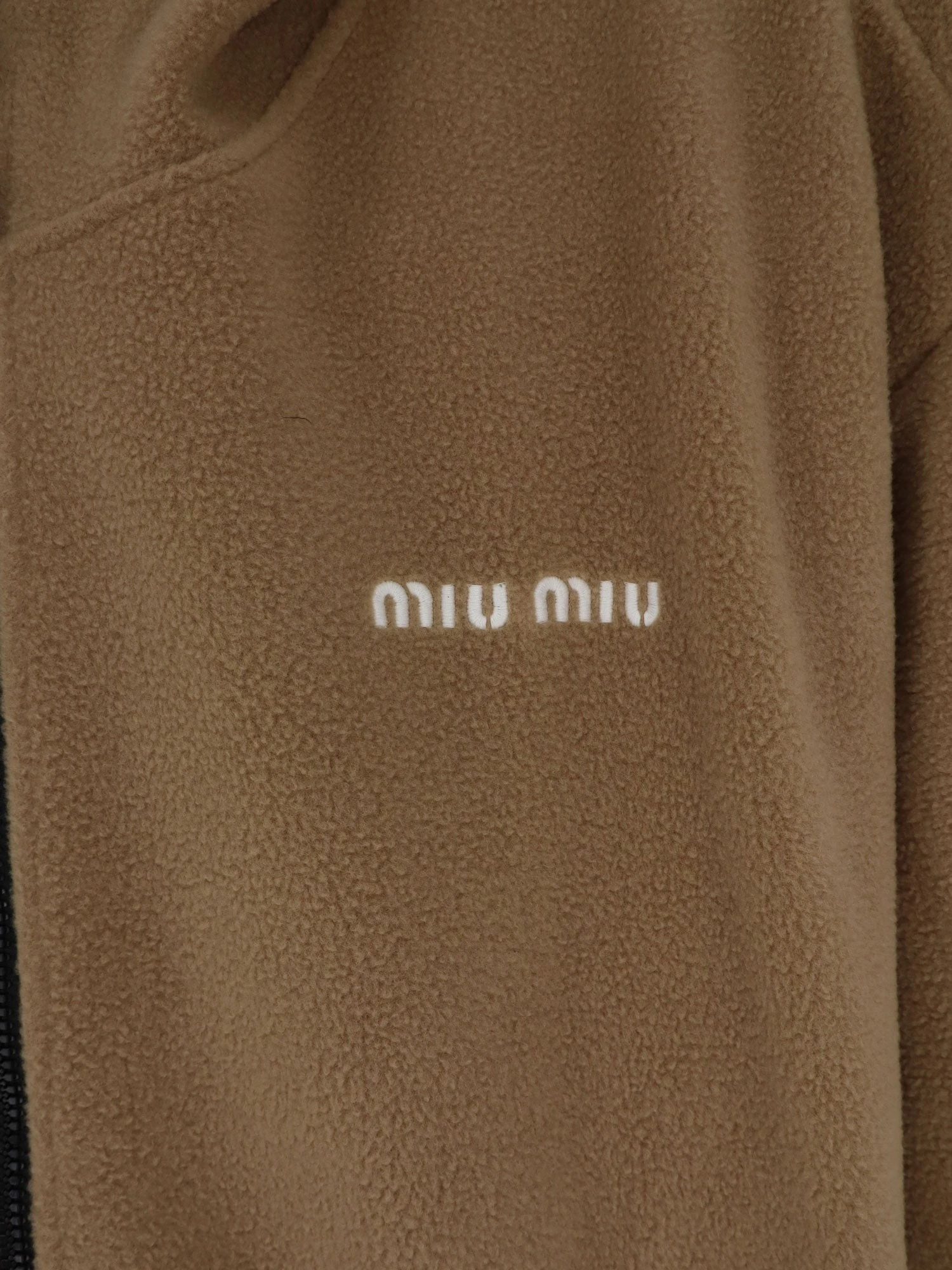Fleece hoodie.webp