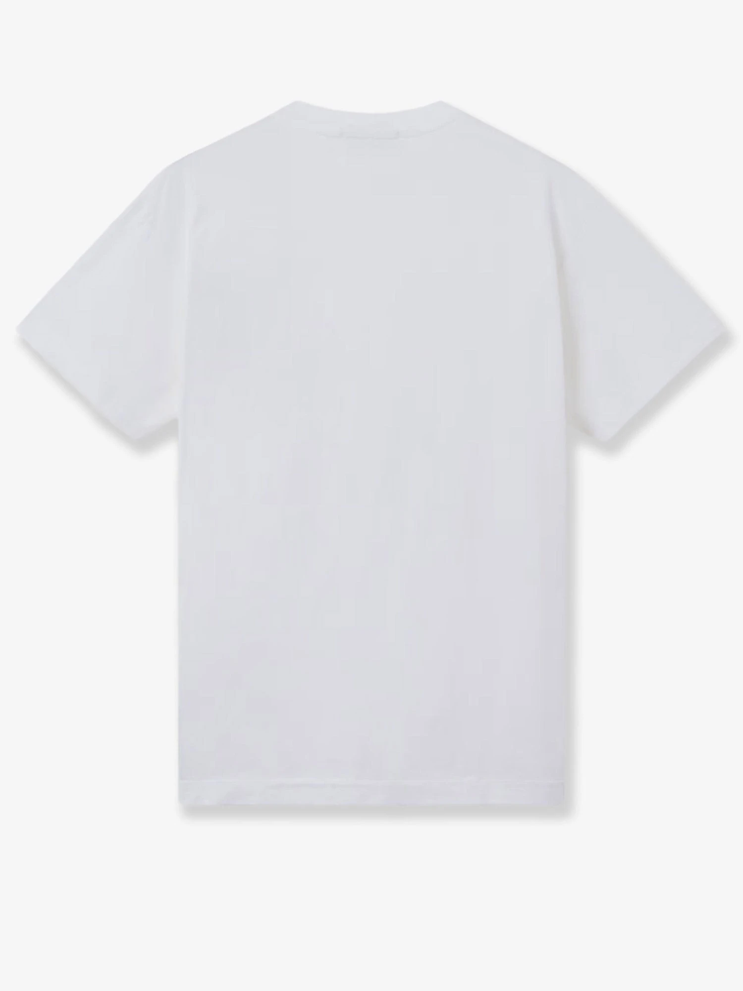 Organic cotton t-shirt.webp