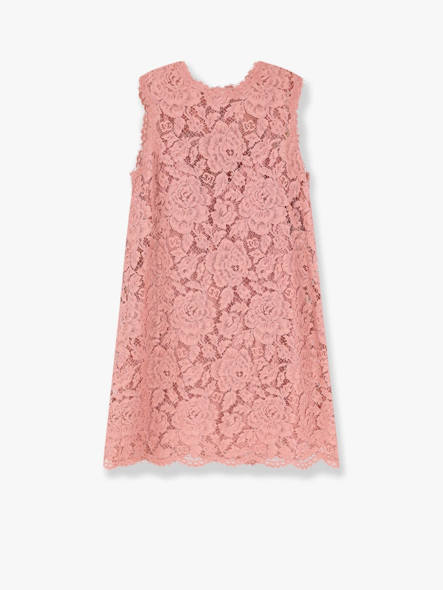 A line dg floral lace dress.webp